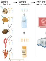 深海无脊椎动物组织保存的比较方案：DNA/RNA Shield 与液氮在高质量核酸双重提取中的应用对比