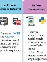 A Step-by-Step Computational Protocol for Functional Annotation and Structural Modelling of Insect Chemosensory Proteins