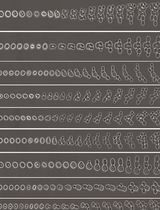 Imaging the Entire Sexual Life Cycle of the Budding Yeast <em>Saccharomyces cerevisiae</em> Using a Microfluidic Platform