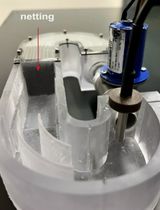 基于趋流行为的定点停留：一种高灵敏度评估斑马鱼幼体侧线功能的行为学方法