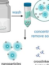 In Situ Crosslinking of Bioorthogonal Nanoparticles to Restore Clot Stability in Coagulopathic Blood