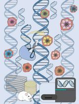 <em>Plasmodium berghei</em> High-Throughput (PbHiT): a CRISPR-Cas9 System to Study Genes at Scale