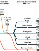 基于 Emu 的可重复计算流程：在高性能计算集群上实现高保真土壤—植物微生物组解析
