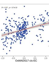 Identifying Causal Genes and Building Regulatory Networks in Crops Using the CisTrans-ECAS Method