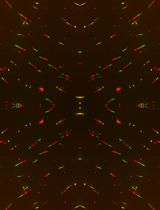 A Quantitative DNA Fiber Assay to Monitor Replication Fork Progression, Protection, and Restart