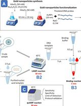 Visual Nanoprobe-Enhanced Loop-Mediated Isothermal Amplification Protocol for Rapid Detection of Infectious Laryngotracheitis Virus from Avian Respiratory Swabs