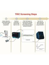 Orthogonal Temperature-Related Intensity Change and Time-Resolved Förster Resonance Energy Transfer High-Throughput Screening Platform for the Discovery of SLIT2 Binders