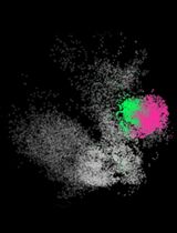 sc3D: A Comprehensive Tool for 3D Spatial Transcriptomic Analysis