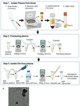 A Rapid and High-Recovery Extracellular Vesicle (EVs) Isolation Technique from Blood Samples