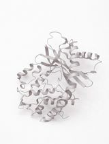 ELISA-Based Enzyme Kinetics Assay for Measuring cGAS Activity