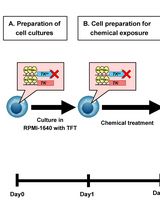 Quantifying Epigenetic Changes Induced by Chemical Exposure Using the epi-TK Assay