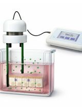 Assessment of Epithelial Barrier Integrity by TEER and FITC-Dextran Permeability Assays