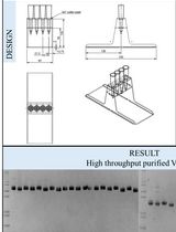 Parallelised Cloning, Mammalian Cell Expression, and Purification of Nanobodies Identified by Phage Display