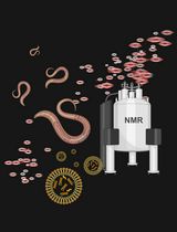 Lipid Analysis in Live <em>Caenorhabditis elegans</em> Using Solution-State NMR Spectroscopy