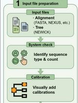 基于 PhyloSuite v2 图形界面的分子定年分析分步操作流程