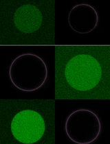 Reconstitution of Active Plant H<sup>+</sup>-ATPase AHA2 in Giant Unilamellar Vesicles