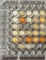 可定制的根际细菌高通量化学表型分析