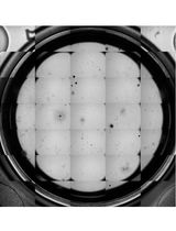 A Reliable Method for Thawing Primary AML and CMML Mononuclear Cells to Preserve Viability and Function
