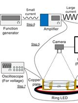 Tracking AC Electric Stimulation–Induced Persistent Locomotion Behavior in the Nematode <em>Caenorhabditis elegans</em>