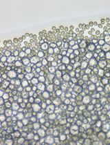 Gene Editing in <em>Chlamydomonas</em> Using the SCREAM Technique