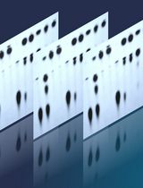 Analysis of Bacterial-Mediated c-di-AMP Degradation by Thin-Layer Chromatography
