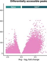 Identification of DNA-Binding Factor Enrichment in Chromatin Accessibility Data to Define a Persister Cell Signature