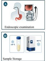 Endoscopic Collection and Analysis of Gastric Fluid DNA: A Liquid Biopsy Methodology for Tumor Biomarker Discovery