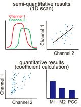 Quantitative Colocalization Analysis in Fluorescence Microscopy