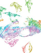 Serial Cryosectioning for the Spatial Transcriptomics of Plant Tissues