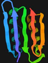 Identifying Differentially Expressed Proteins via Plasma Exosomal Proteomics