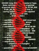 A Batch-Processing Pipeline for RNA-seq Gene Abundance Estimation