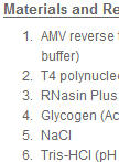 Primer Extension Analysis Using AMV Reverse Transcriptase