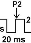 HEK293细胞中的钠电流测定