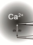 Measurement of Extracellular Ca<sup>2+</sup> Influx and Intracellular H<sup>+</sup> Efflux in Response to Glycerol and PEG6000 Treatments