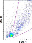 In vitro T Cell–DC and T Cell–T Cell Clustering Assays
