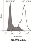 Assessment of Human Dendritic Cell Antigen Uptake by Flow Cytometry