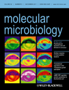 Cover of Molecular Microbiology, featuring study using the protocol.
