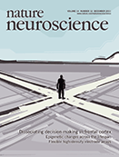 Cover of Nature Neuroscience, featuring study using the protocol.