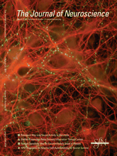 Cover of The Journal of Neuroscience, featuring study using the protocol.