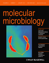 Cover of Molecular Microbiology, featuring study using the protocol.