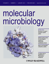 Cover of Molecular Microbiology, featuring study using the protocol.