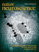Cover of Nature Protocols, featuring study using the protocol.