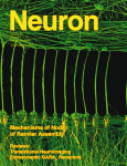 Cover of Neuron, featuring study using the protocol.