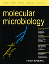 Cover of Molecular Microbiology, featuring study using the protocol.
