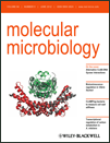Cover of Molecular Microbiology, featuring study using the protocol.