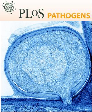 Cover of PLOS Pathogens, featuring study using the protocol.