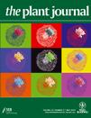 Cover of The Plant Journal, featuring study using the protocol.