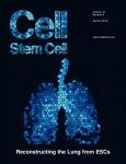 Cover of Cell Stem Cell, featuring study using the protocol.