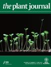 Cover of The Plant Journal, featuring study using the protocol.