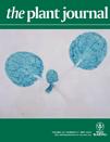 Cover of The Plant Journal, featuring study using the protocol.